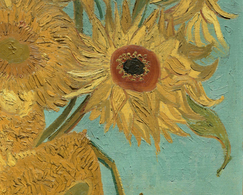 The Journey of the Sunflower: From American Discovery to European Farms